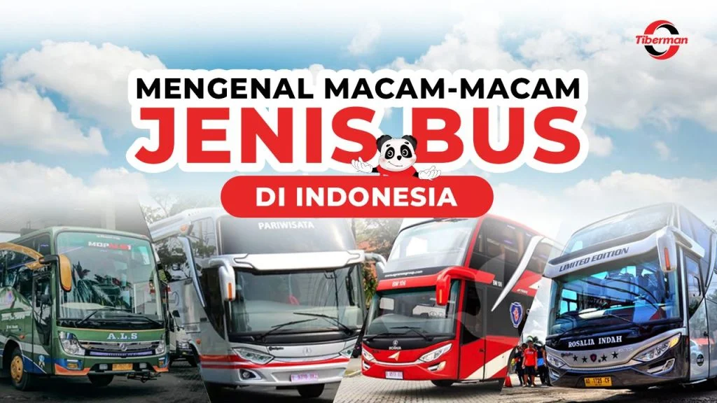 jenis bus