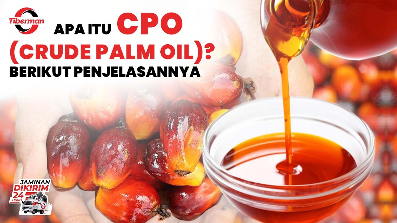 Apa itu CPO