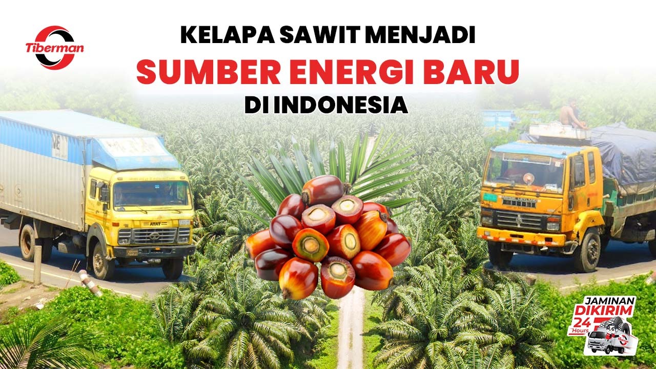 Kelapa sawit energi terbarukan