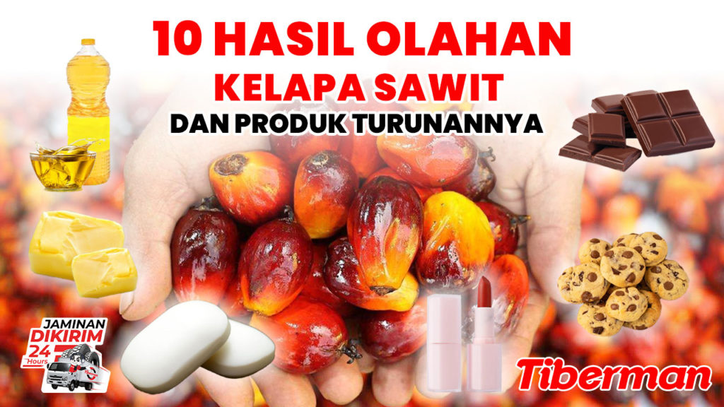 10 Hasil Olahan Kelapa Sawit dan Produk Turunannya
