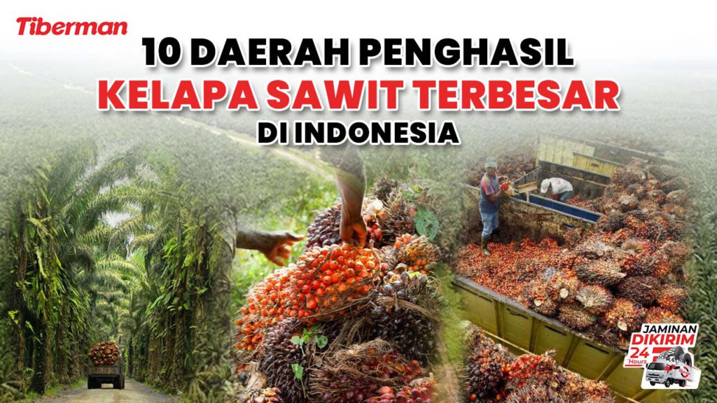 10 Daerah penghasil kelapa sawit terbesar