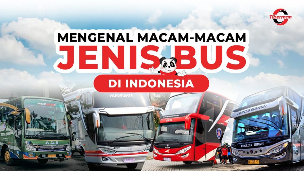 macam-macam jenis bus di indonesia